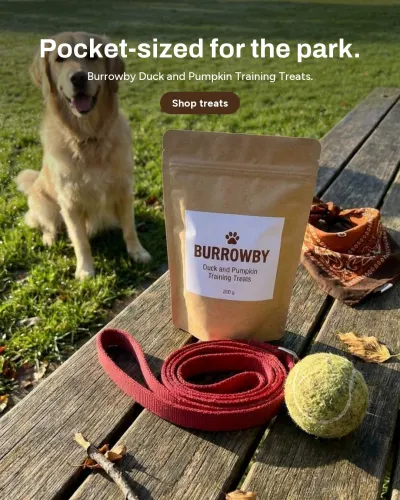 AI motion video for Burrowby: Duck and Pumpkin Training Treats